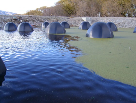 Image: Poo-Gloo domes
